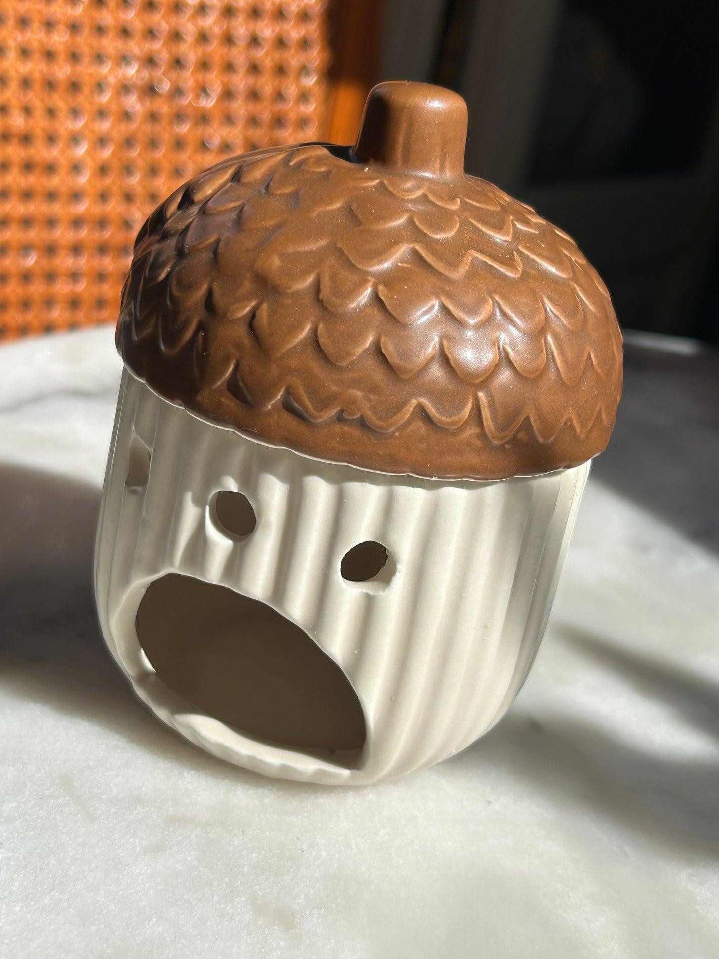Petit chêne