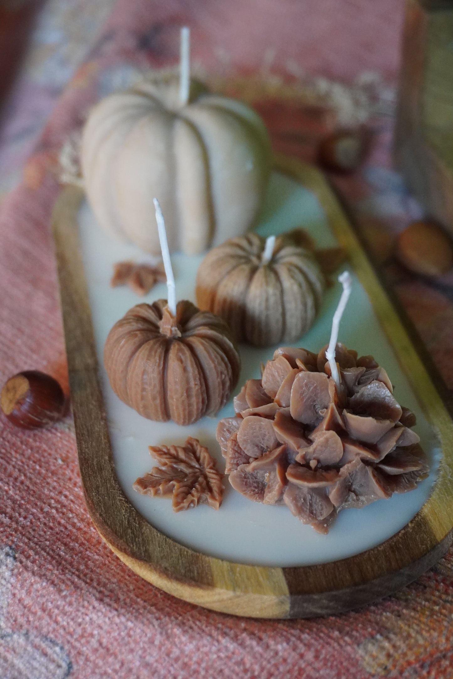 Plateau d'Automne