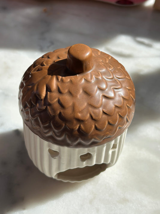 Petit chêne