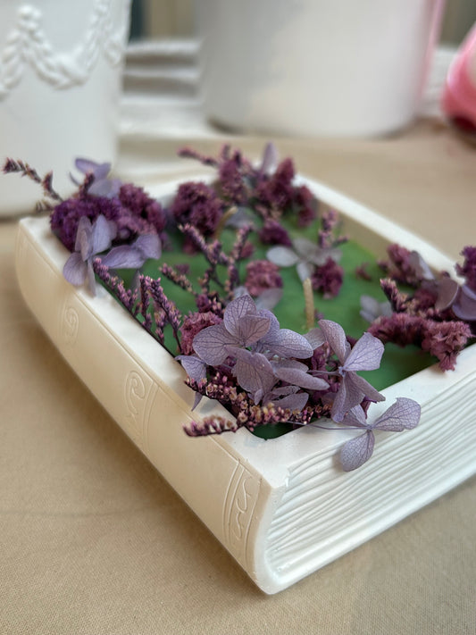 Twilight book