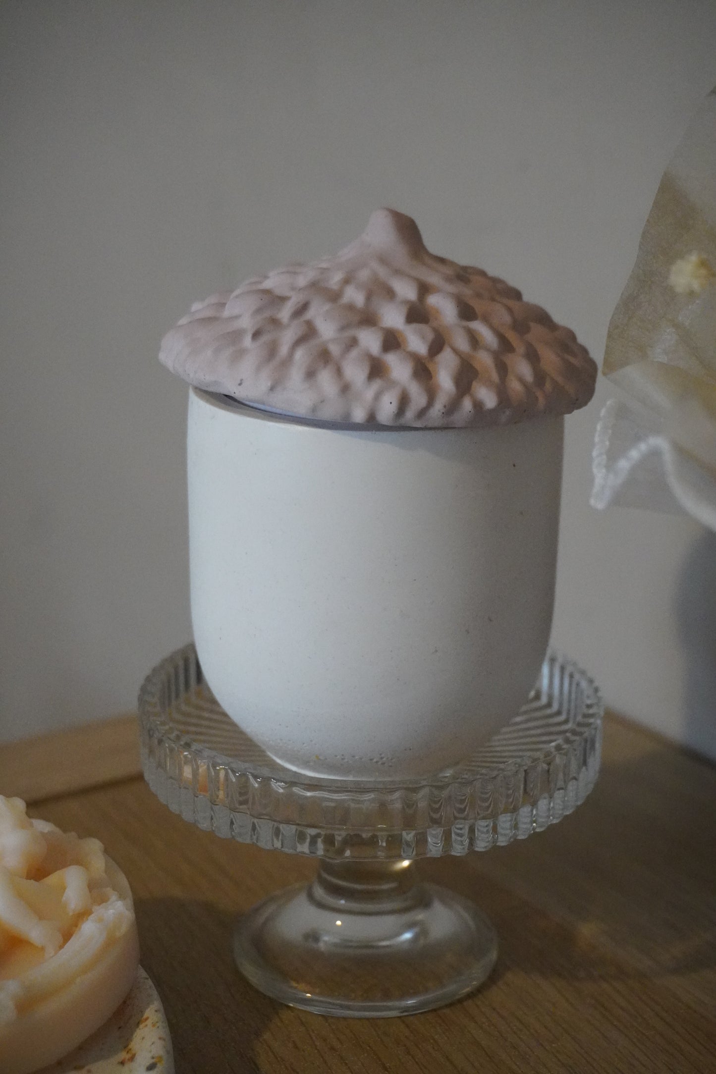 Noisette d’hiver