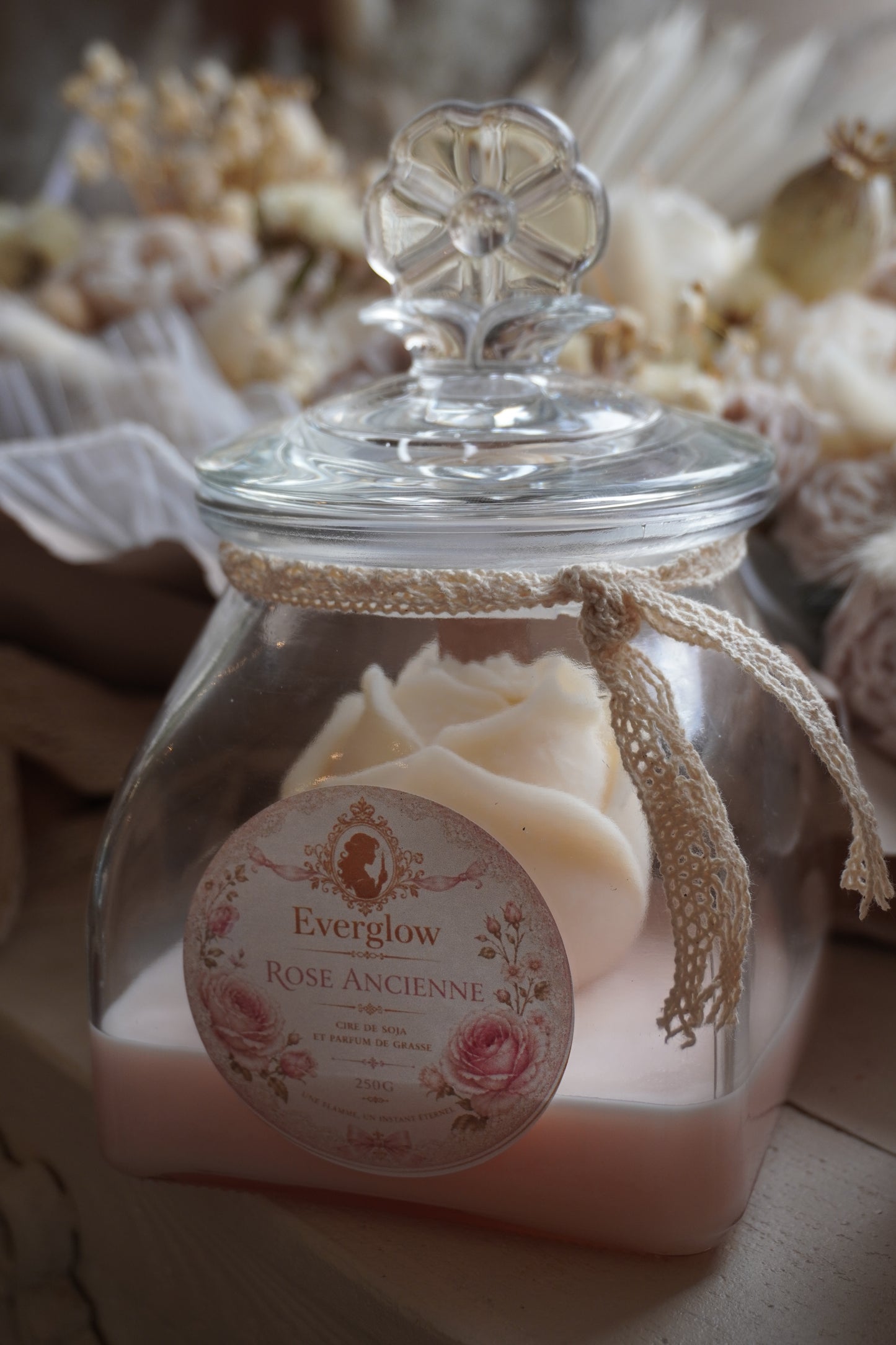 Rose ancienne