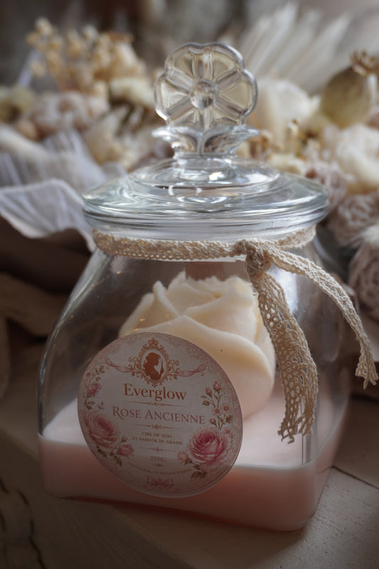 Rose ancienne