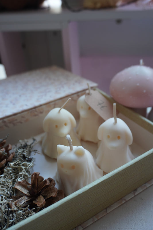 Le petit Fantôme