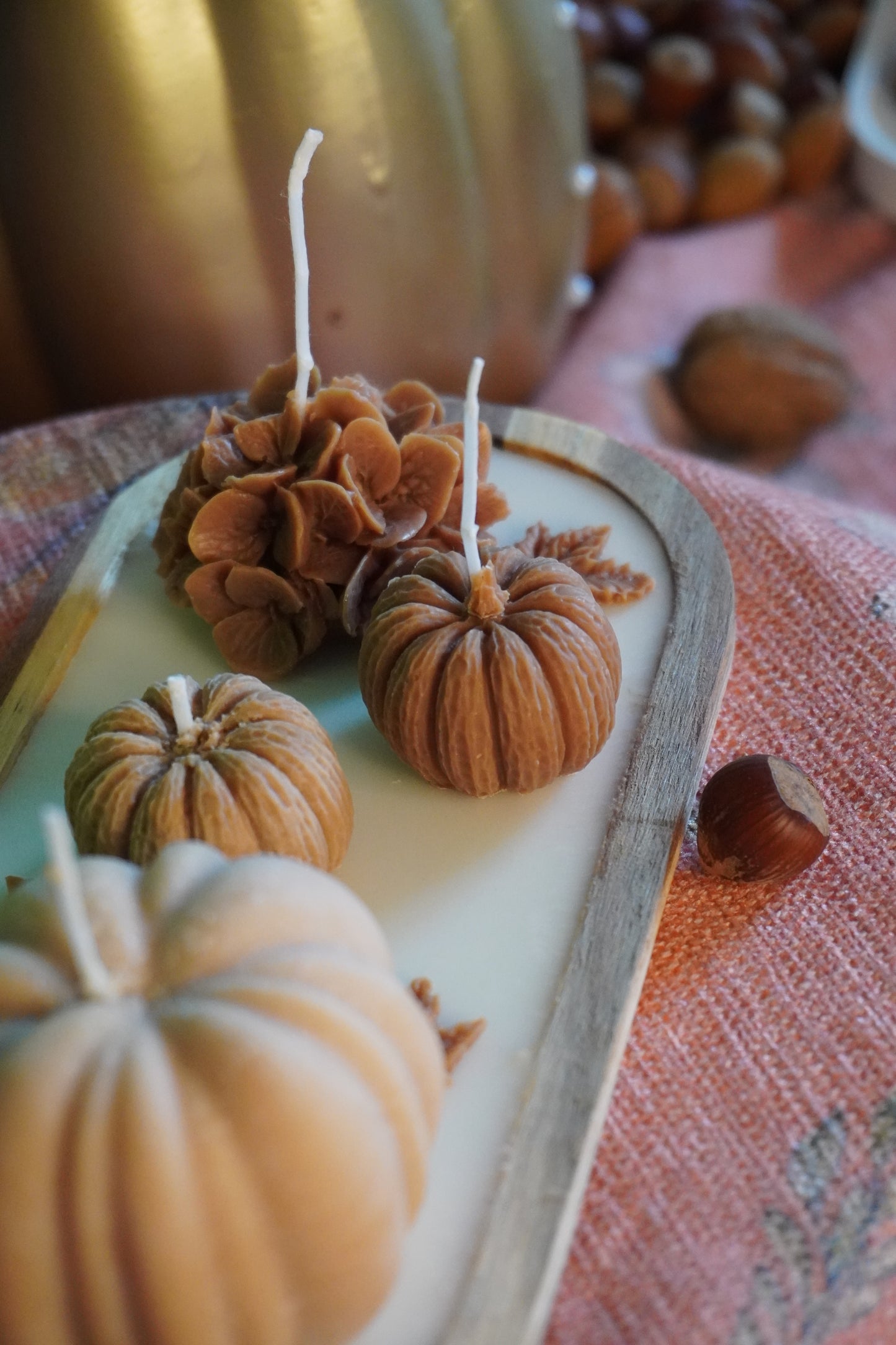 Plateau d'Automne