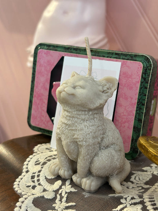 Chat Ronron